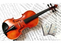 NEW Humigic Super Acoustic Violin Case Humidifier Powder Apperance